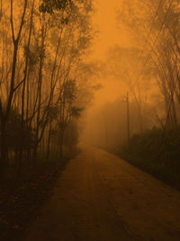 Road amidst trees against sky during foggy weather