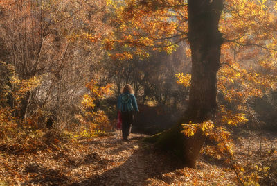 Rear view of woman standing by trees in forest during autumn