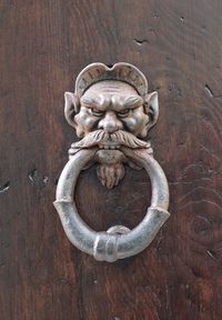 Close-up of cat on wooden door
