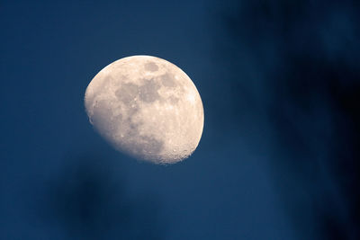 Full moon on the sky in dusk