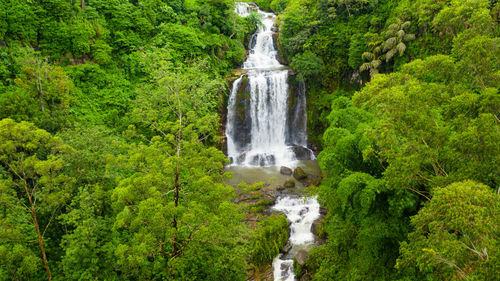 A tropical waterfall in the jungles of sri lanka. mount vernon waterfall.