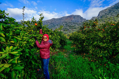 Portrait of woman picking oranges at farm against mountains