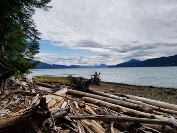 Scenic view of sea against sky