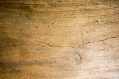 High angle view of wooden texture