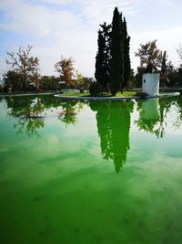 Reflection of trees in lake against sky