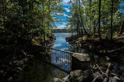 River amidst trees against sky