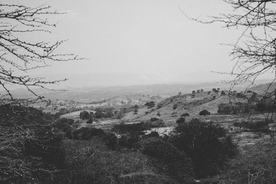 Scenic view of landscape against clear sky