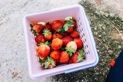 High angle view of strawberries in box