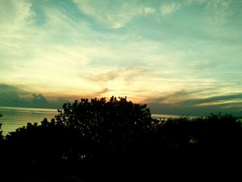 Silhouette trees on landscape against sky at sunset