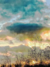 Low angle view of silhouette plants against sky at sunset
