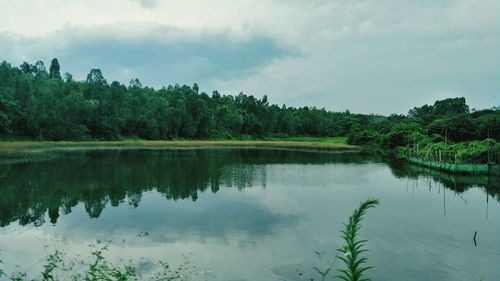 Scenic view of lake by trees against sky