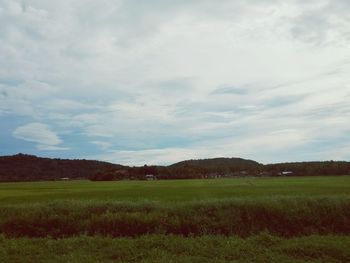 Scenic view of field against sky