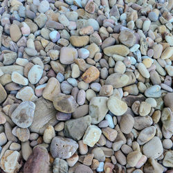 Close up of rounded and polished beach rocks on the sea shore