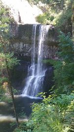 Waterfall in forest