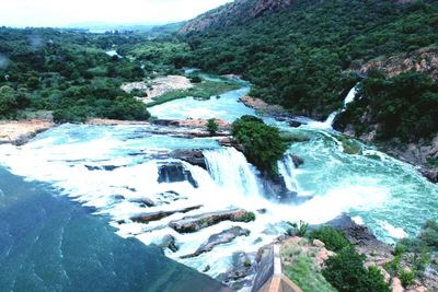 Scenic view of river with trees in background