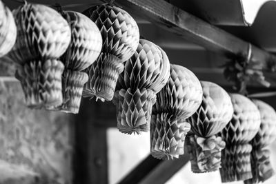 Low angle view of horse for sale