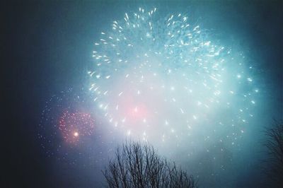 Low angle view of firework display at night