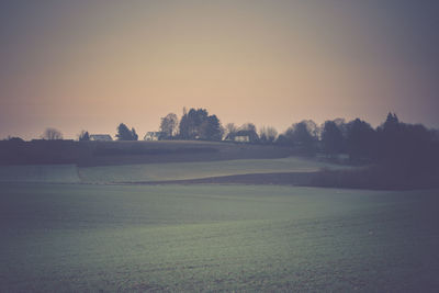 Trees on field against clear sky during sunset