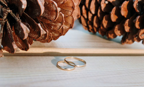 Close-up of pine cone on table