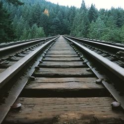 Railroad tracks amidst trees against sky