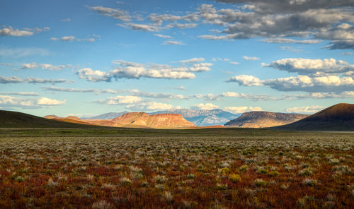 Scenic view of field against sky