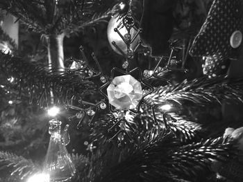 Low angle view of christmas decoration