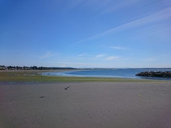 View of calm beach against blue sky