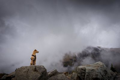 Scenic view of rocks against sky