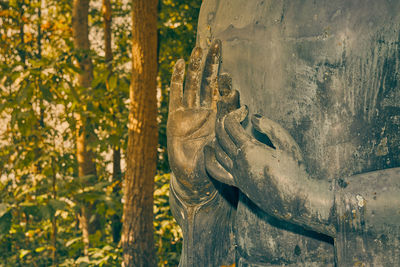 Close-up of statue against trees