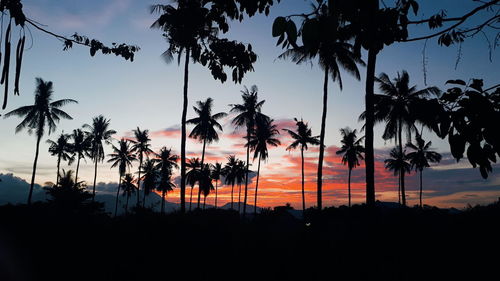 Low angle view of silhouette trees against sky during sunset