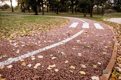 Surface level of road amidst plants in park