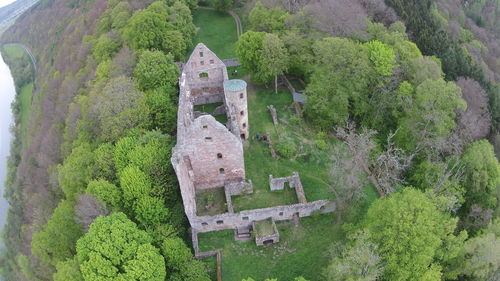 High angle view of plants and trees in sunlight