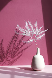 Dry branch of fern in vase with deep shadow in sunlight on purple background. minimal interior 