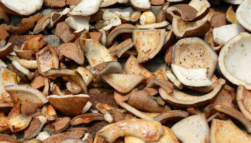 Full frame shot of dried coconut