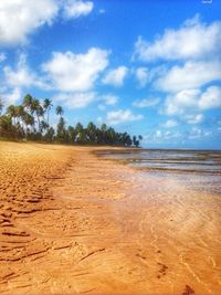 Scenic view of beach against cloudy sky