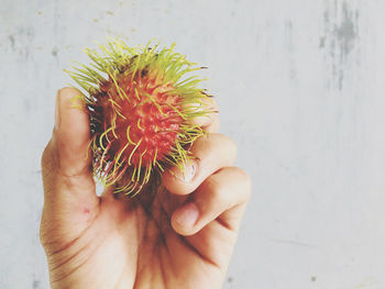 Close-up of hand holding fruit