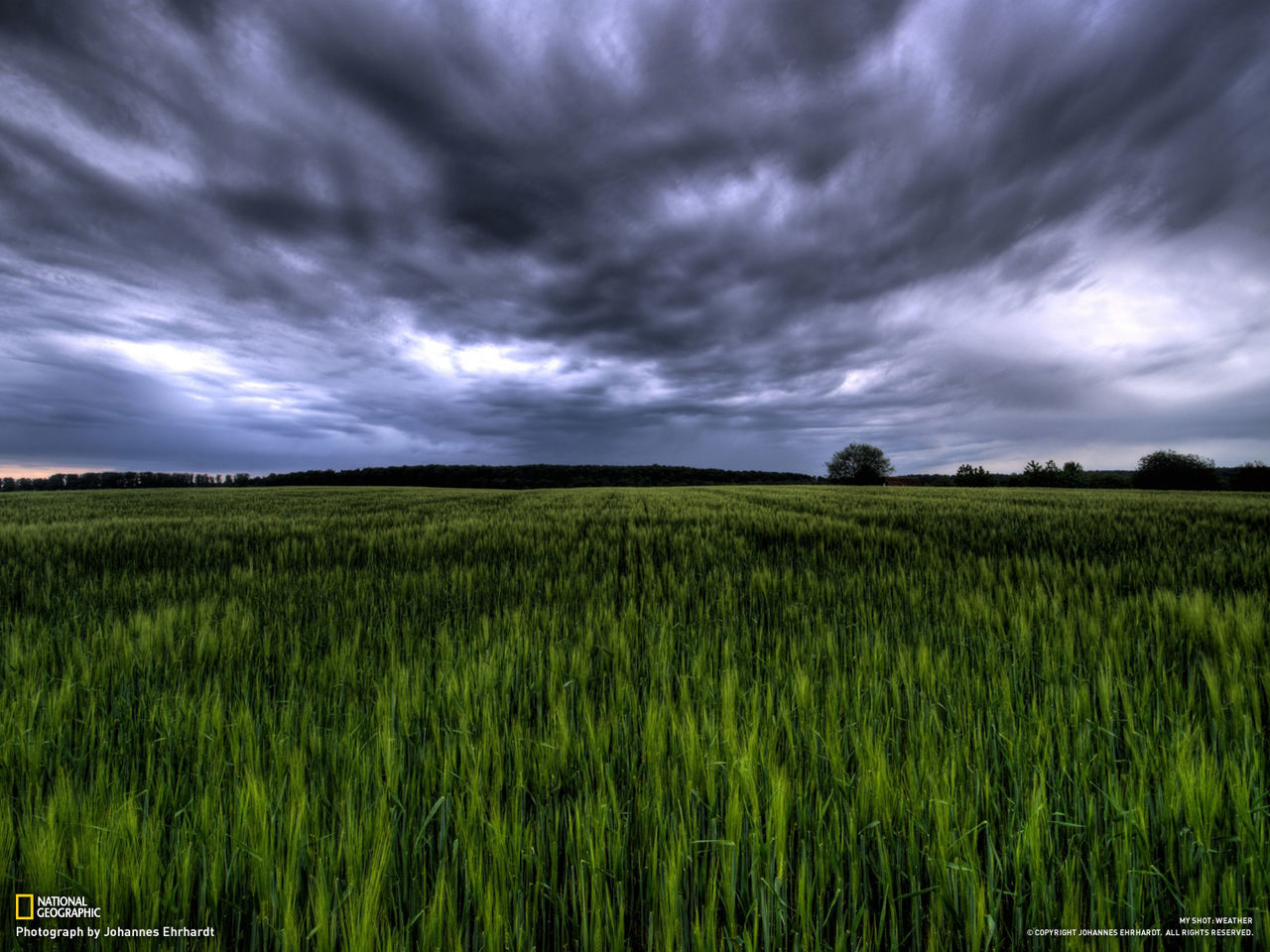 sky, cloud - sky, cloudy, tranquil scene, tranquility, field, scenics, beauty in nature, landscape, growth, nature, grass, weather, overcast, green color, cloud, tree, rural scene, storm cloud, agriculture
