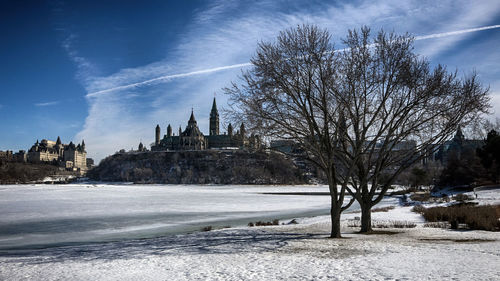 Bare trees and buildings against sky