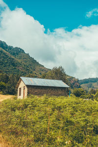 Plants growing on field by buildings against sky