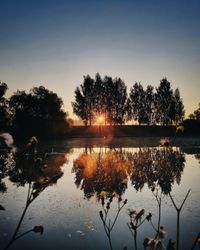 Silhouette trees by lake against sky during sunset