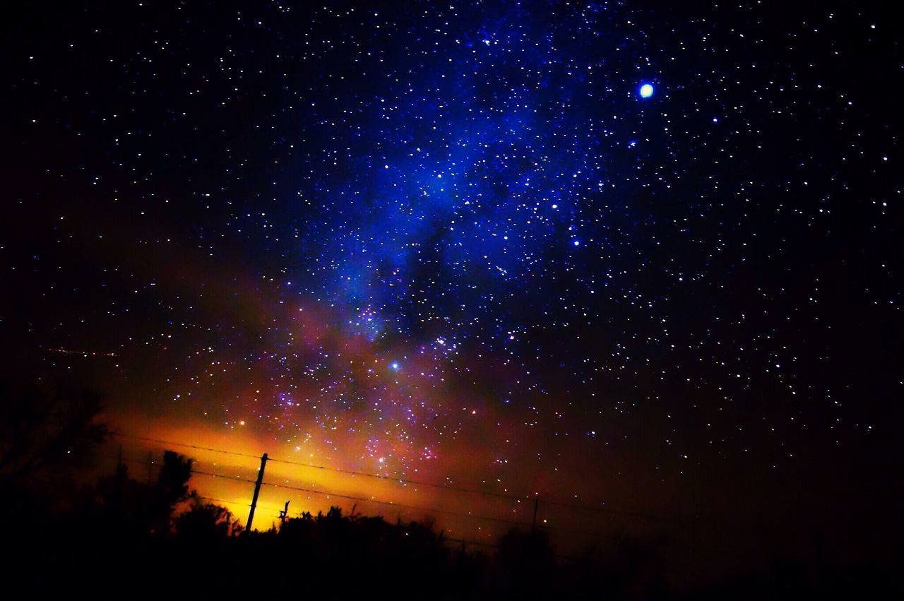 LOW ANGLE VIEW OF TREES AGAINST STAR FIELD