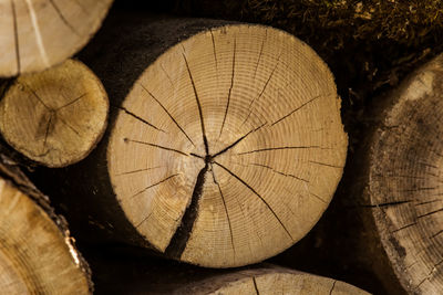 A wooden pattern of a tree trunk