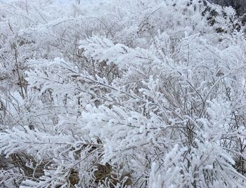 Full frame shot of snow covered land