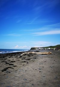 Scenic view of beach against blue sky