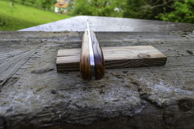 High angle view of feather on table