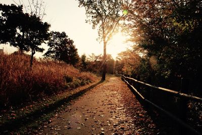 Road amidst trees during autumn