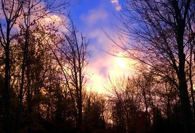 Low angle view of silhouette trees against sky at sunset