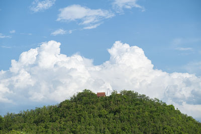 Panoramic view of trees and building against sky