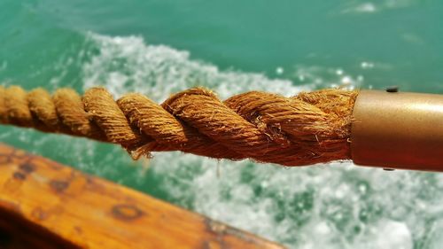 Close-up of rope tied on wood