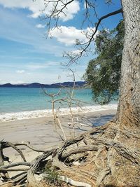 Close-up of beach against sky